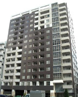 �A�[�o�����C�t��t�H�����Y�]�˖x �O�ώʐ^