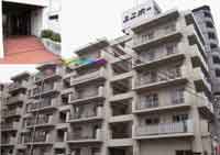 ���j�[�u���吳 �O�ώʐ^