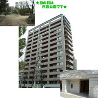 �A�[�o���r���[��x�] �O�ώʐ^