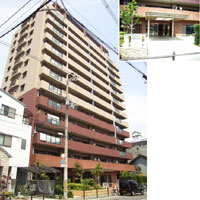 ���j�E�A���X����v���W�I �O�ώʐ^