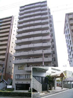 ���j�b�N�X��� �O�ώʐ^