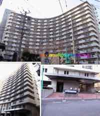 �Ճp�[�N�T�C�h�R�[�| �O�ώʐ^