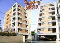 ���F���h�[���͖x��II �O�ώʐ^