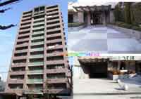 ���B���k�[�u��x�] �O�ώʐ^