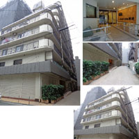 �E�B���U�[�n�C����g �O�ώʐ^