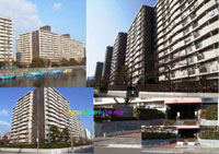 �����ږx�R�[�|�i1�����j �O�ώʐ^