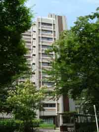 �Z�g��Q�c�n�@�P�P���� �O�ώʐ^